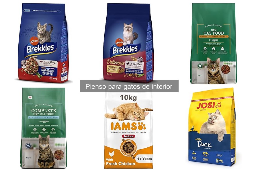 Mejores marcas de pienso para gatos de interior en 2023