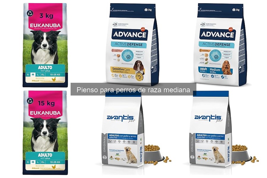 Mejores marcas de pienso para perros de raza mediana