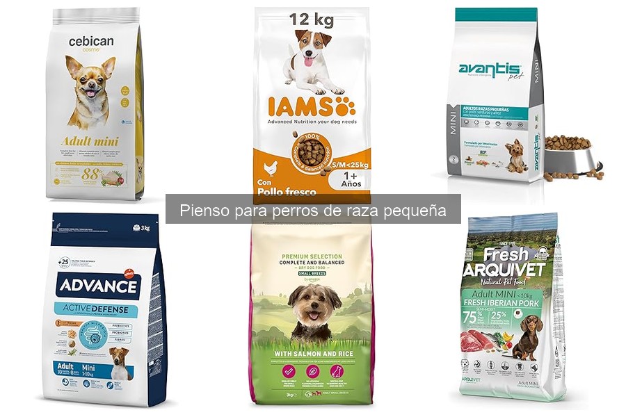 Mejores marcas de pienso para perros de raza pequeña