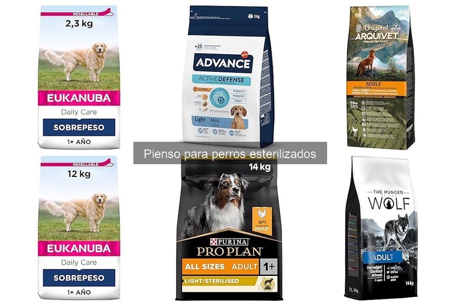 Mejores marcas de pienso para perros esterilizados