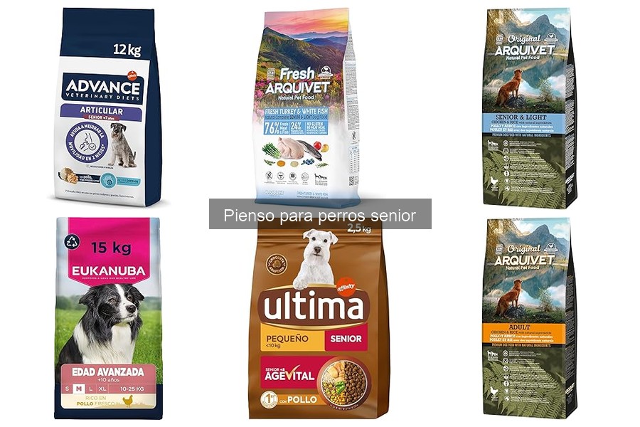 Mejores marcas de pienso para perros senior en 2023
