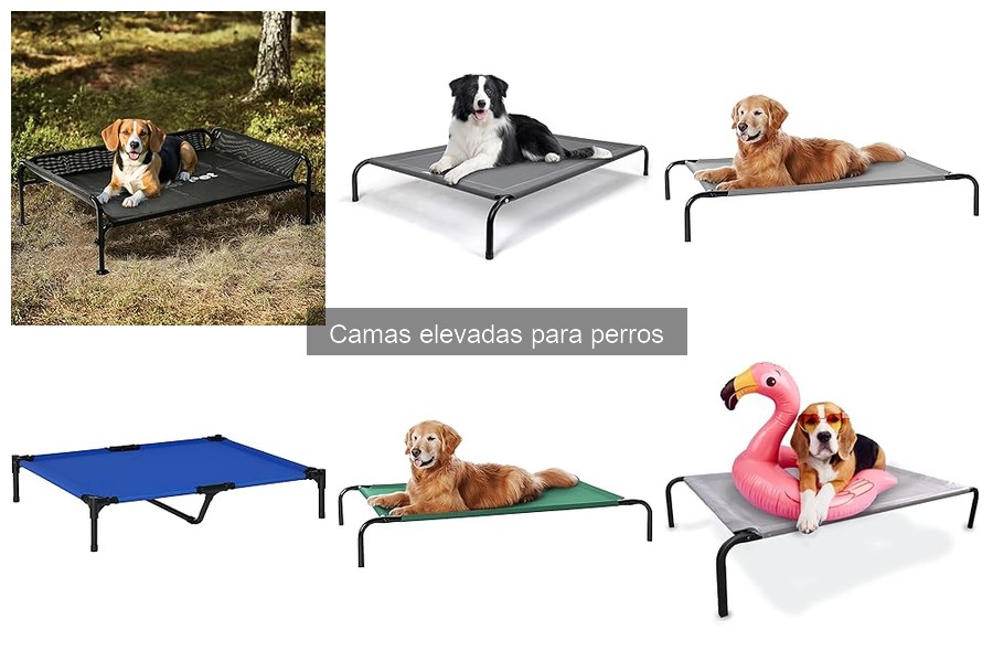 Mejores materiales para camas elevadas para perros