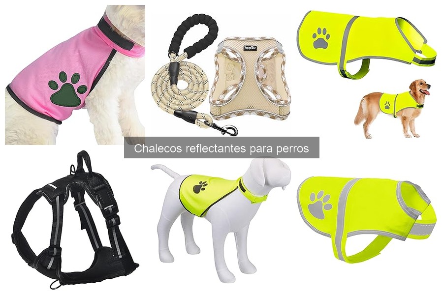 Mejores materiales para chalecos reflectantes para perros