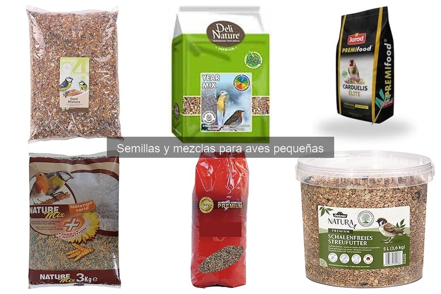 Mejores mezclas de semillas para loros - Comparativa 2023
