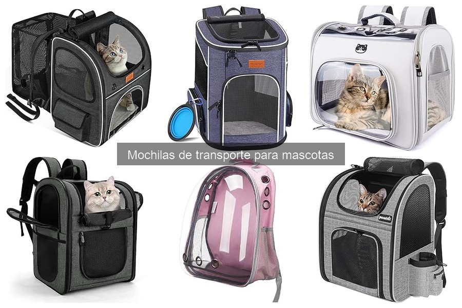 Mejores mochilas de transporte para mascotas en avión