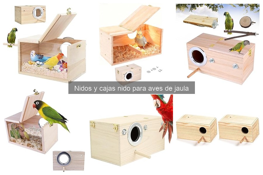 Mejores nidos y cajas nido para canarios en 2023