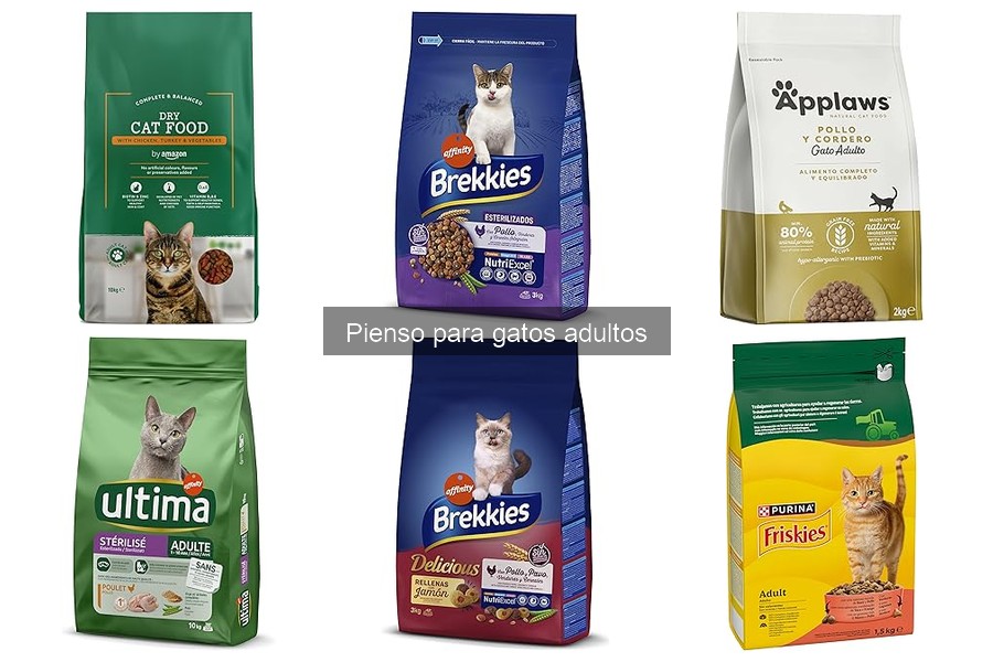 Mejores ofertas de pienso para gatos adultos en 2023