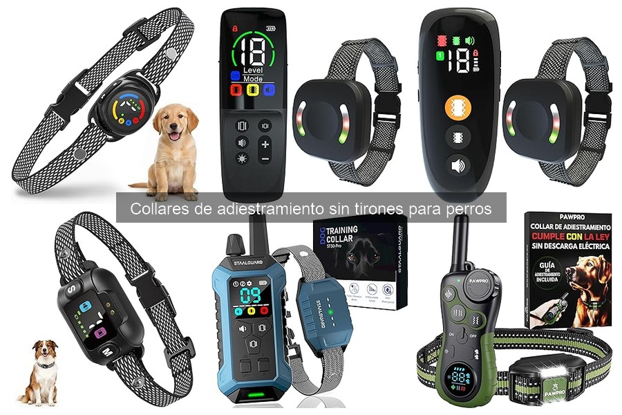 Mejores ofertas en collares de adiestramiento sin tirones