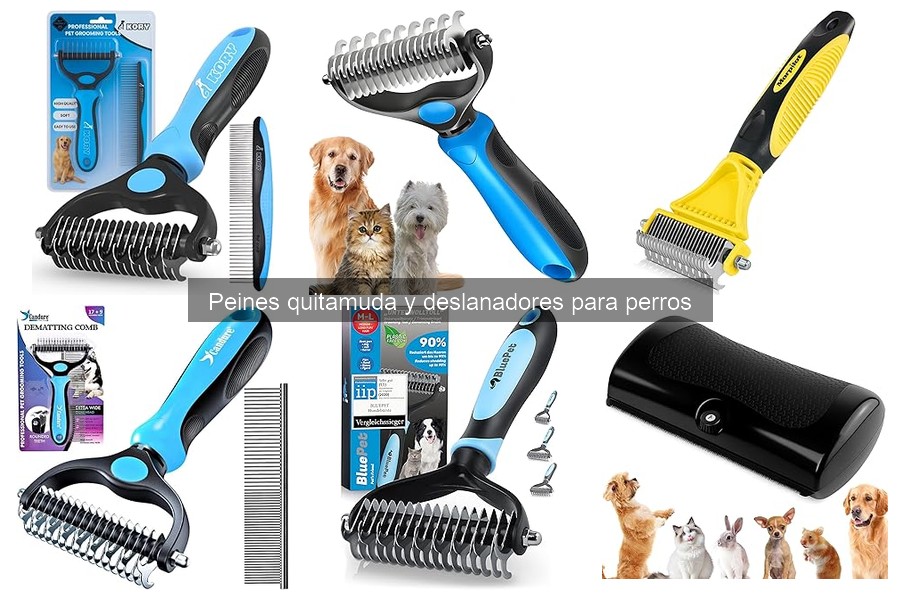 Mejores peines quitamuda para perros: dónde comprar a buen precio