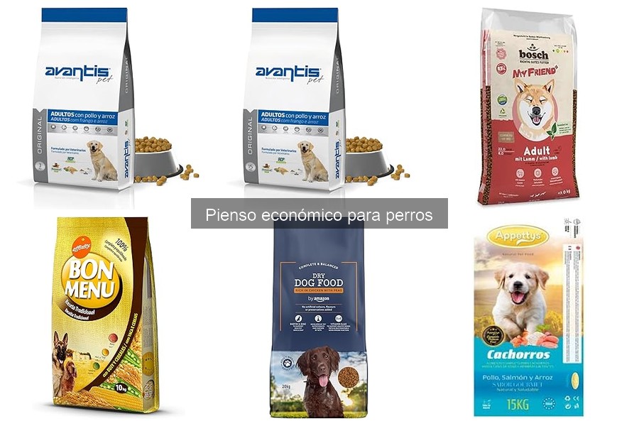 Mejores piensos económicos para cada raza de perro