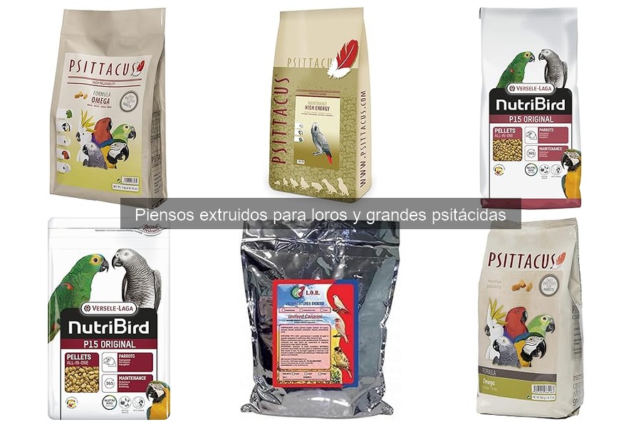 Mejores piensos extruidos para loros jóvenes en 2023