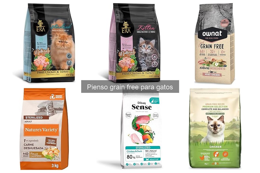Mejores Piensos Grain Free para Gatos: Comparativa 2023