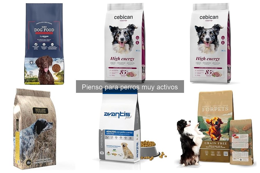Mejores piensos para cachorros activos: guía de compra