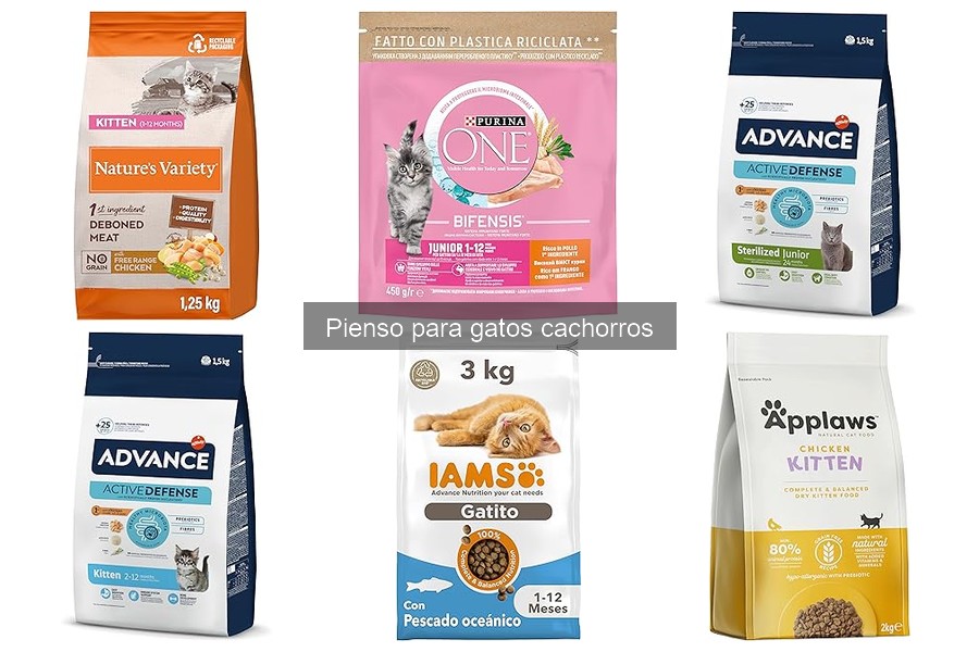 Mejores piensos para gatos cachorros en 2023: comparativa
