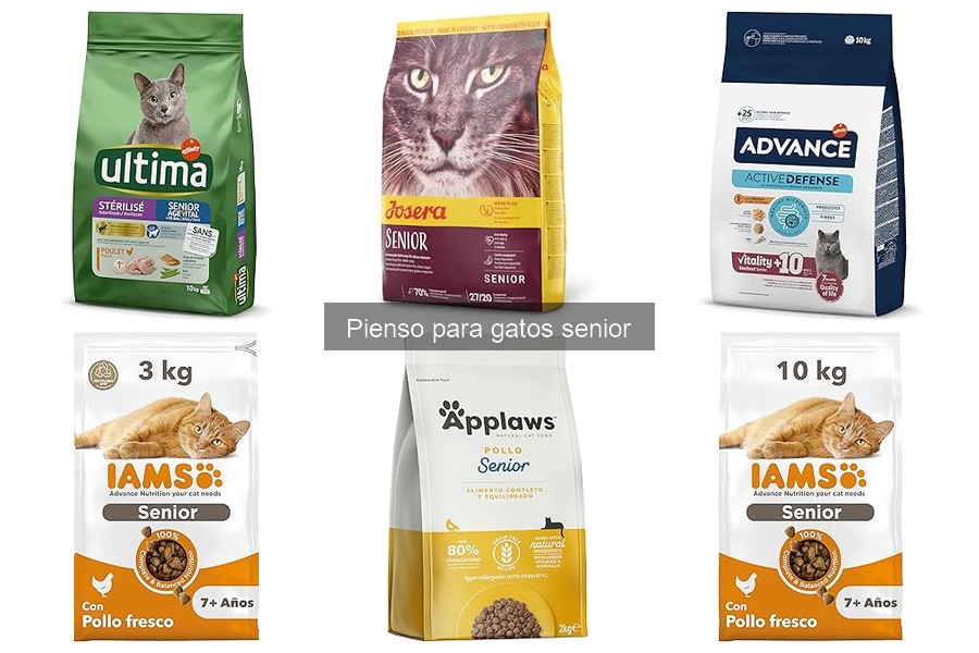 Mejores piensos para gatos senior: guía de compras 2023