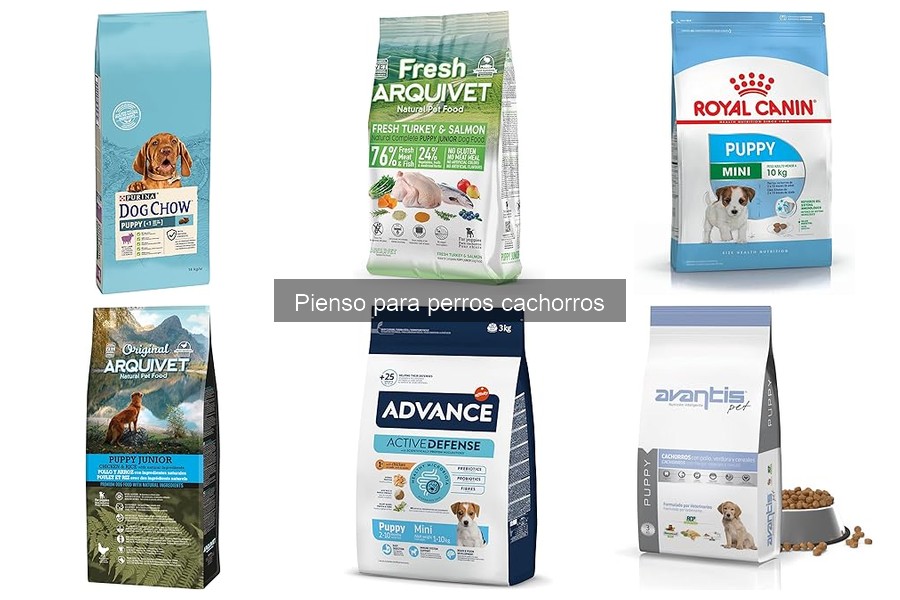 Mejores piensos para perros cachorros: comparativa 2023