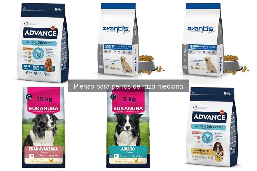 Mejores piensos para perros de raza mediana con sobrepeso