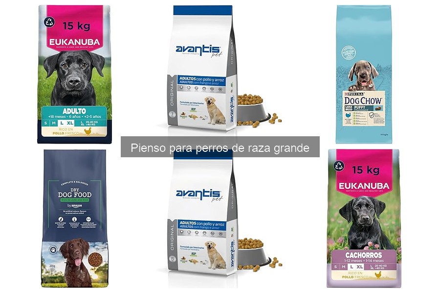Mejores piensos para perros grandes según su edad