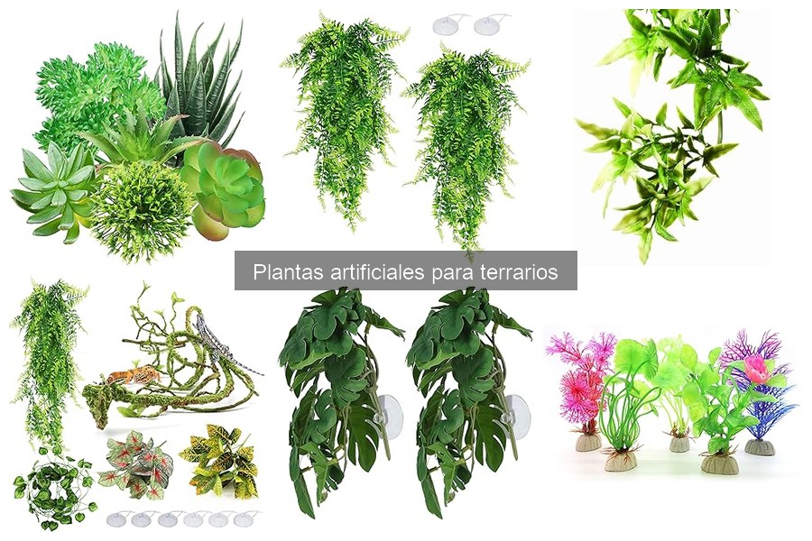 Mejores Plantas Artificiales para Terrarios: Guía de Selección