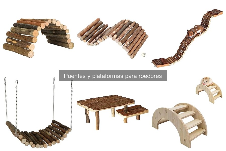 Mejores plataformas para roedores según su especie
