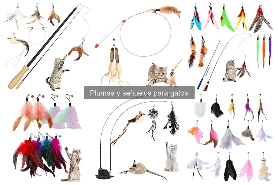Mejores plumas y señuelos para gatos según presupuesto