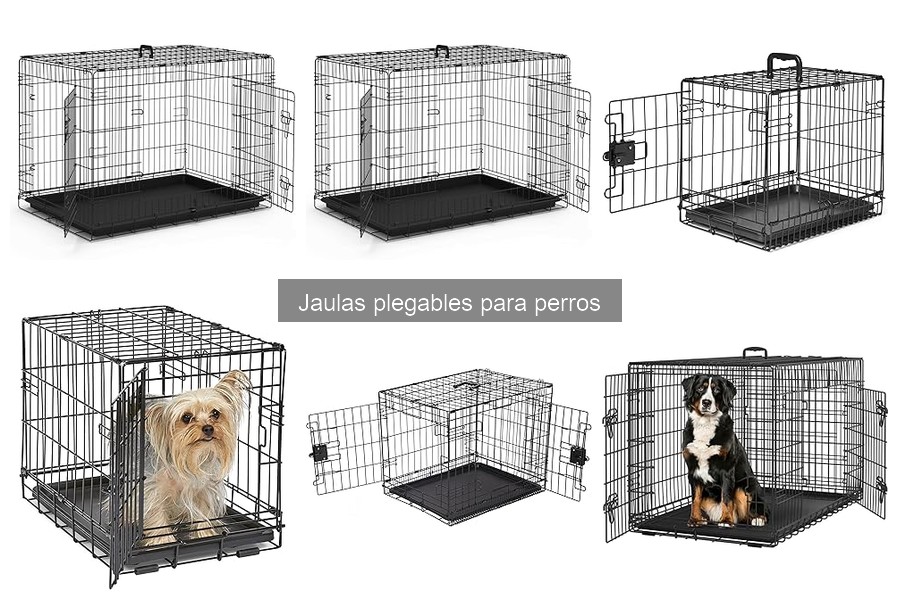 Mejores Prácticas para el Mantenimiento de Jaulas Plegables