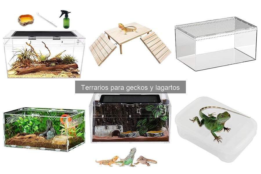 Mejores prácticas para el mantenimiento de terrarios de geckos