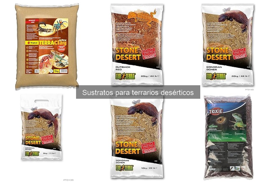 Mejores prácticas para el mantenimiento del sustrato en terrarios