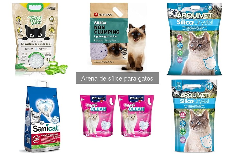 Mejores Prácticas para Mantener Arena de Sílice para Gatos