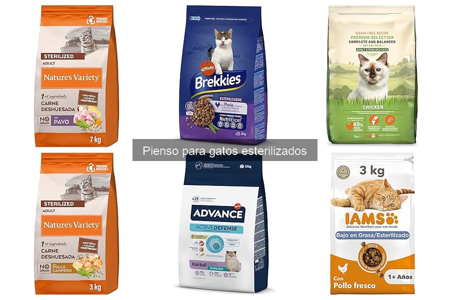 Mejores precios y dónde comprar pienso para gatos esterilizados