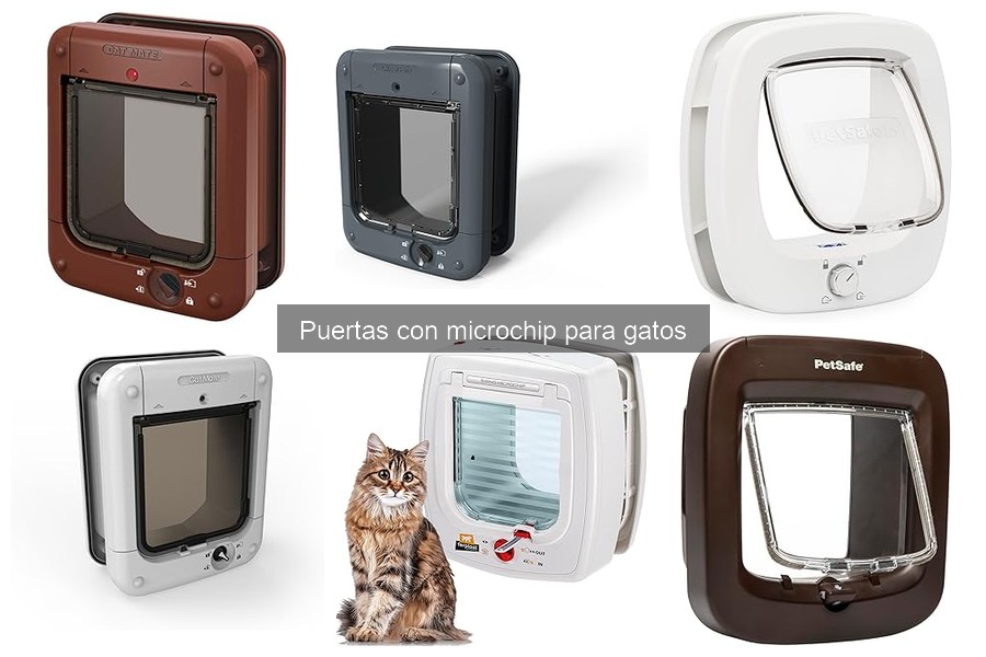 Mejores puertas con microchip para gatos en 2023