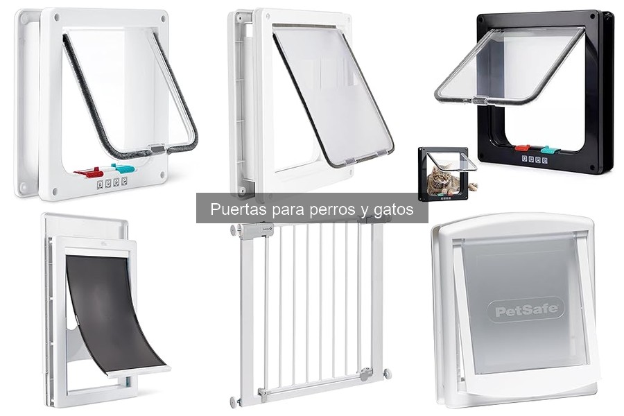 Mejores puertas para gatos en 2023: comparativa de modelos