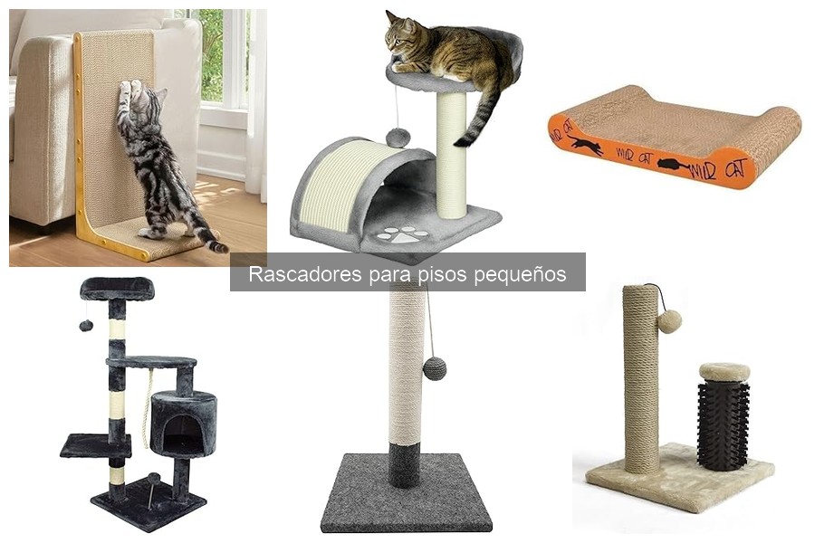 Mejores rascadores para pisos pequeños: ¡elige el ideal!
