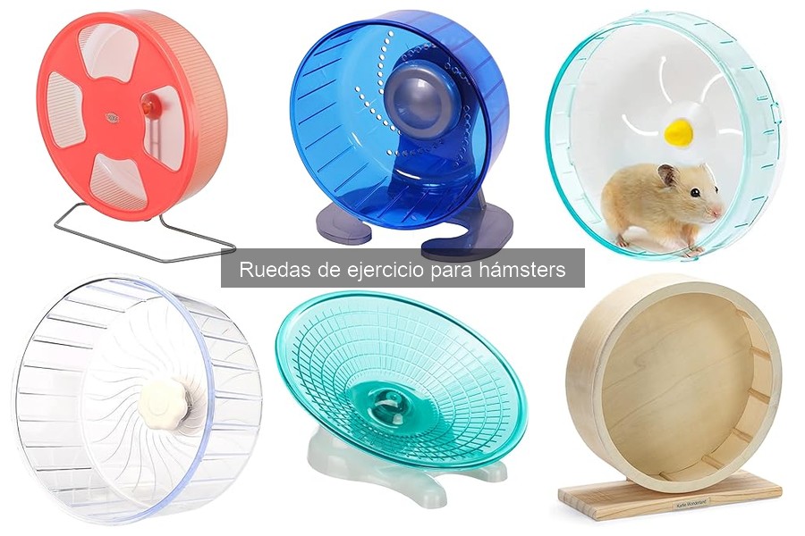 Mejores Ruedas de Ejercicio para Hámsters según la Raza