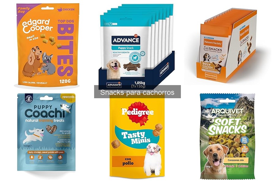 Mejores snacks para cachorros según su tamaño y raza