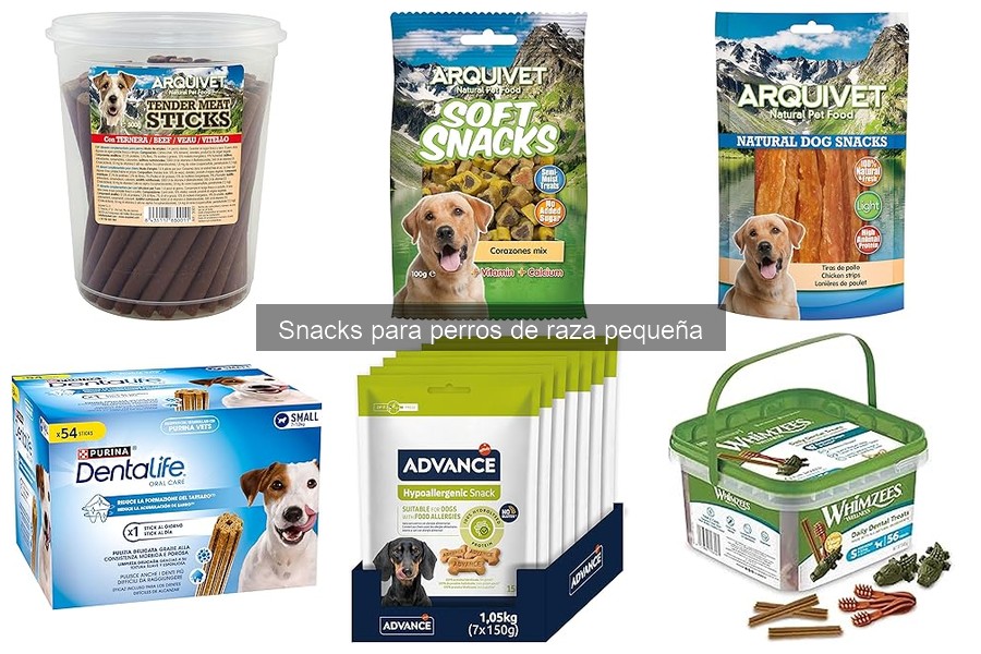 Mejores snacks para perros pequeños con problemas dentales