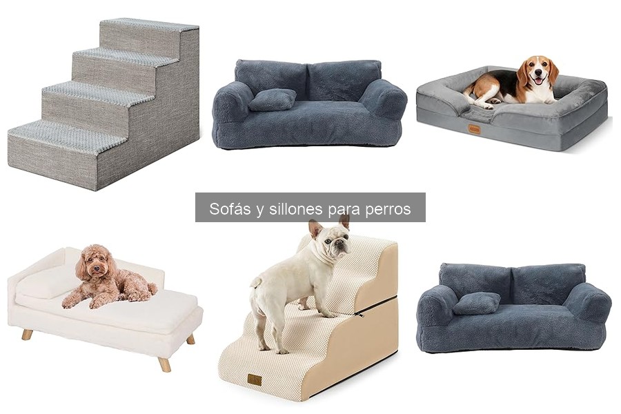 Mejores sofás para perros grandes: comparativa y características