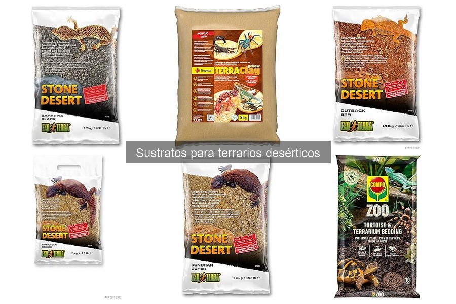 Mejores sustratos para terrarios desérticos: comparativa 2023