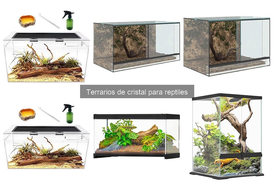 Mejores terrarios de cristal para reptiles: Guía comparativa