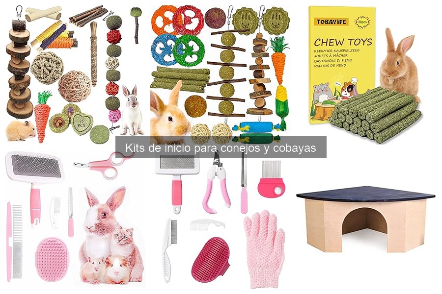 Mejores tiendas online para kits de inicio de conejos y cobayas
