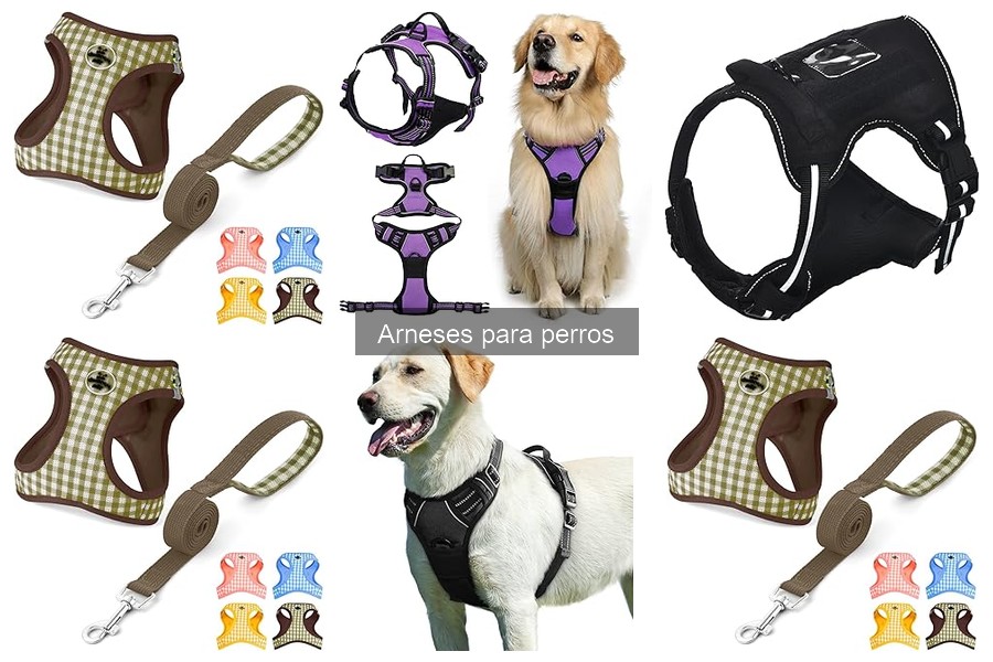 Mejores tiendas para comprar arneses para perros baratos