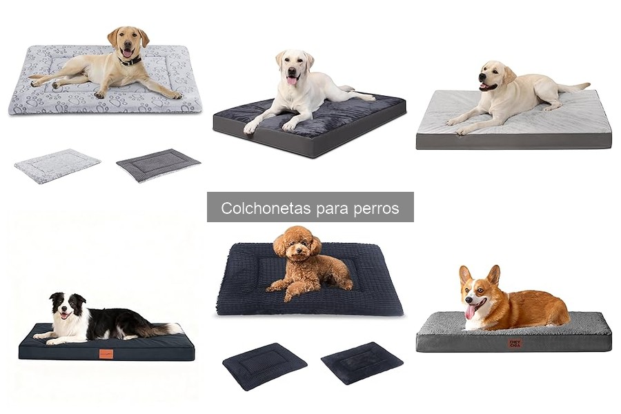 Mejores tiendas para comprar colchonetas para perros baratas