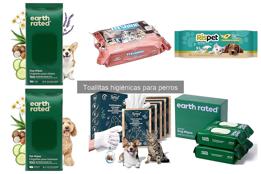 Mejores toallitas higiénicas para perros: comparativa de marcas