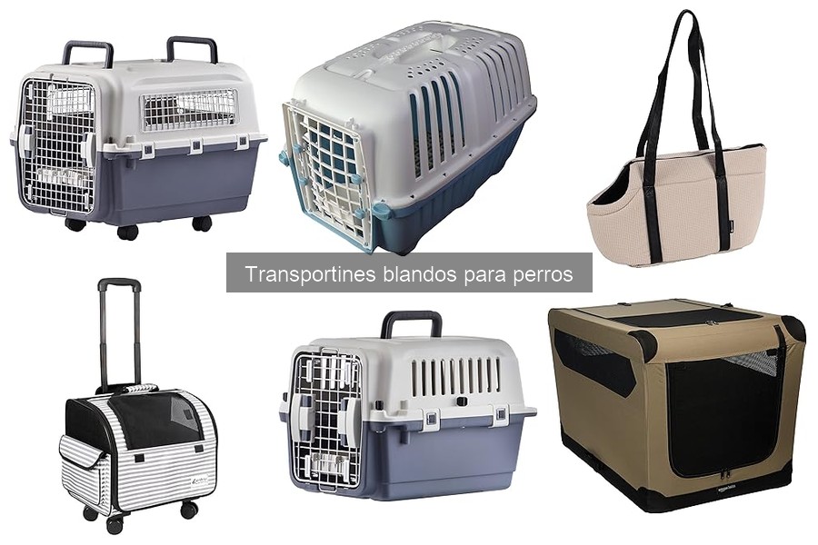 Mejores transportines blandos para perros pequeños en 2023