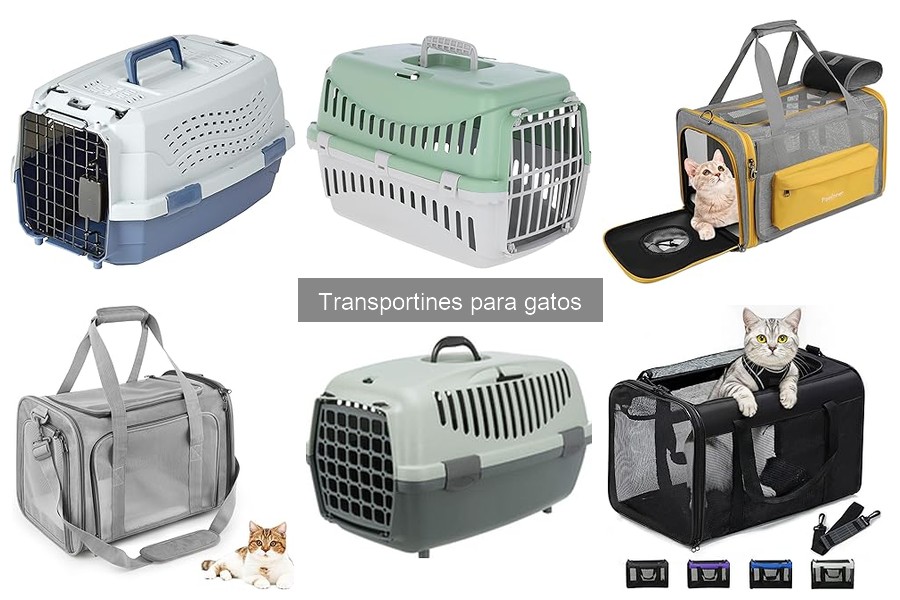 Mejores transportines para excursiones con gatos