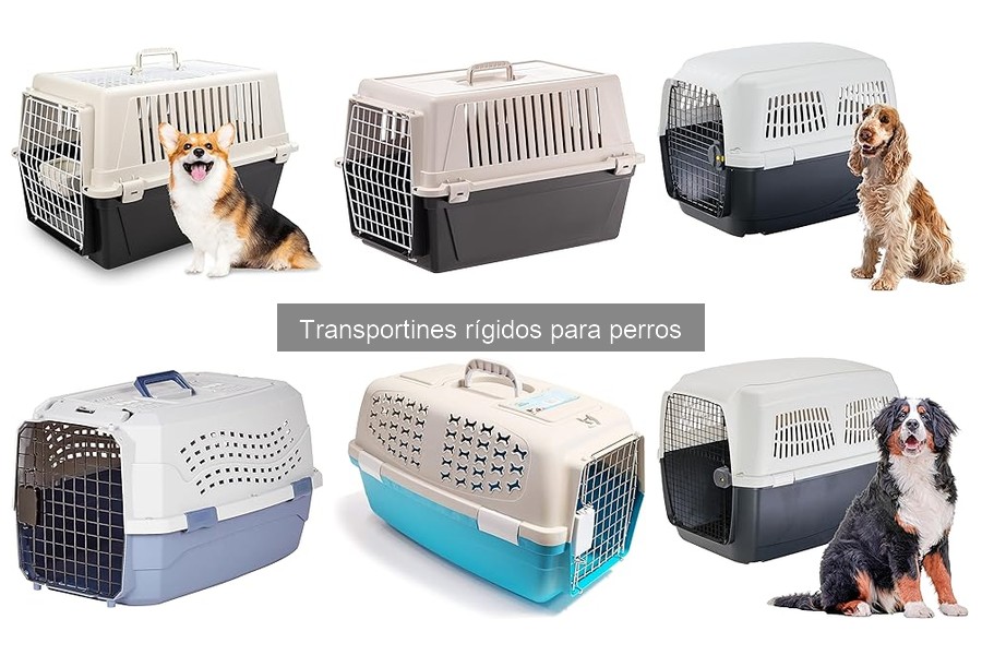 Mejores transportines rígidos para perros grandes en 2023