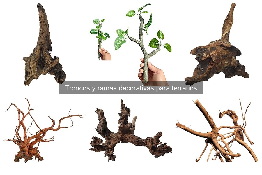 Mejores troncos y ramas decorativas para terrarios