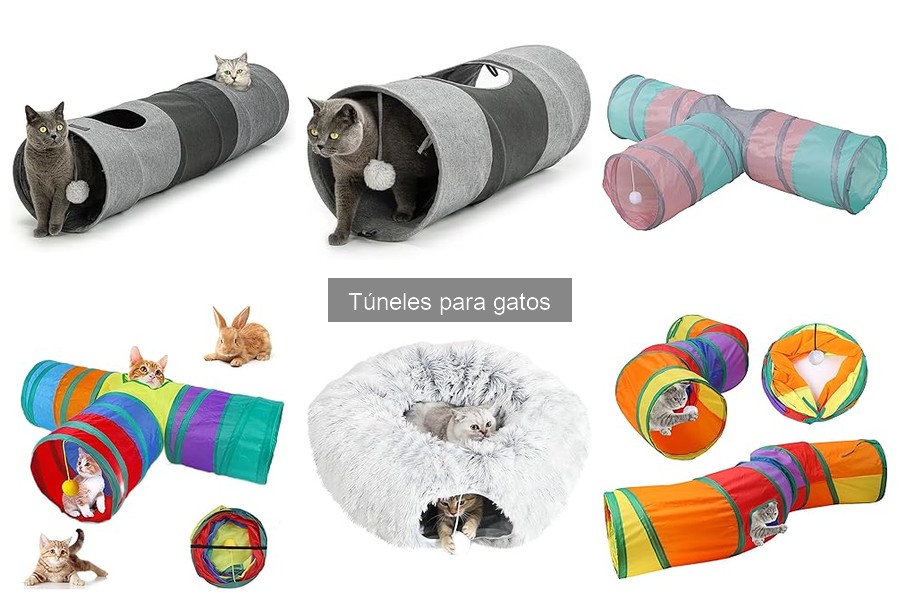 Mejores túneles para gatos según edad y personalidad