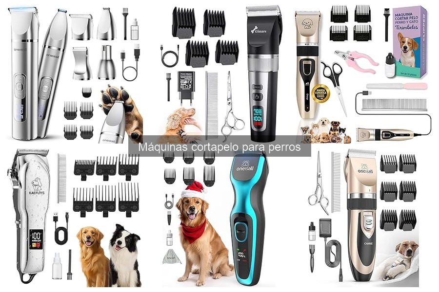 Mitos sobre el uso de máquinas cortapelo para perros