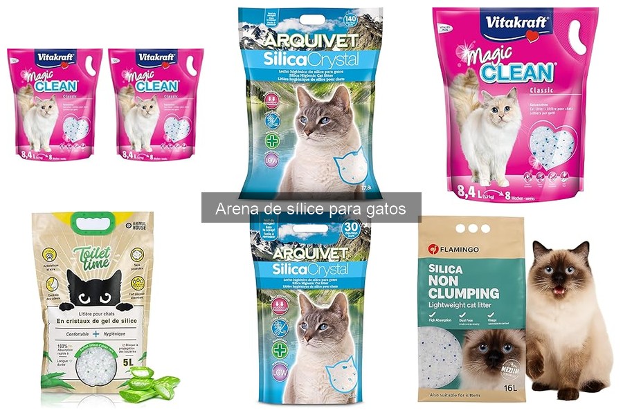 Mitos sobre la arena de sílice para gatos: ¿Verdad o Ficción?